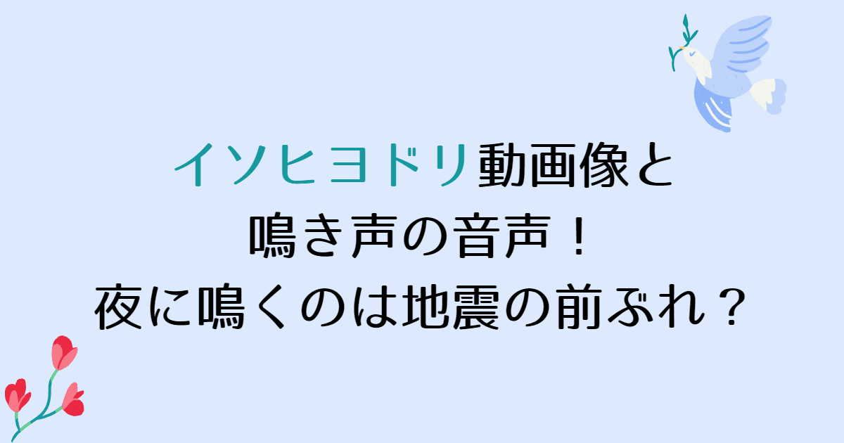 イソヒヨドリ画像と鳴き声の音声 夜に鳴くのは地震の前ぶれ Happy Tram