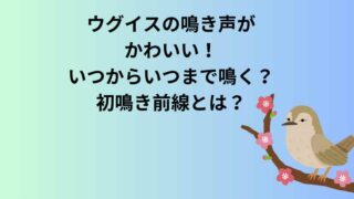 ウグイスの鳴き声がかわいい！いつからいつまで鳴く？初鳴き前線とは？