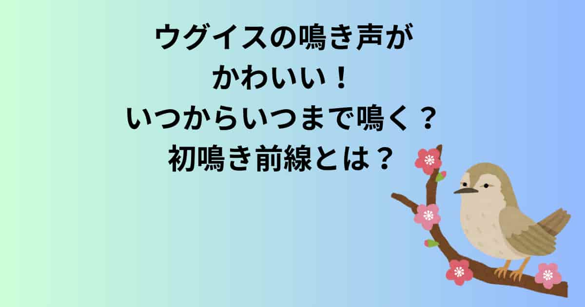 ウグイスの鳴き声がかわいい！いつからいつまで鳴く？初鳴き前線とは？